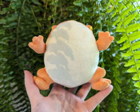 Pacman Frog Plush - Herpetoflora ii