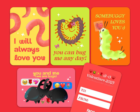 Buggy Love Notes - Valentines 2025 Set of Four, Premium soft touch matte finish Cards