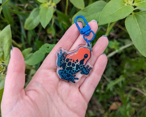 Frogscapes Series 3 - 2 Epoxy Acrylic Charm Keychain – Frog Tree Games